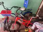 7 to 10 years age boys girls cycle