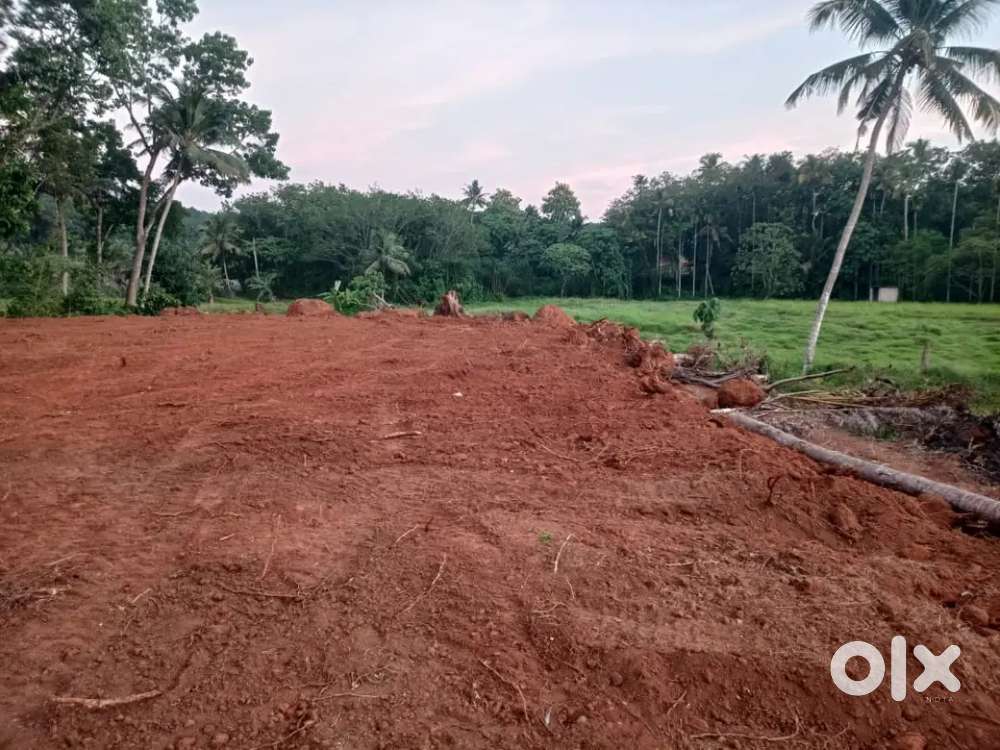 26 cent Land For Sale