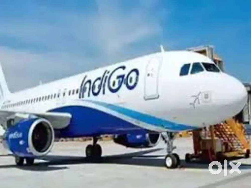Urgent requirements for fresher candidate for indigo airline