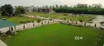 RERA Approved Residential Plots For Sale in Jal Nearby Rama Mandi!!