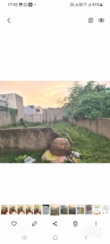 Maruti showroom Mopka