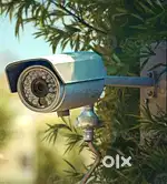 CCTV Multi brand n DTH  sale n Installations
