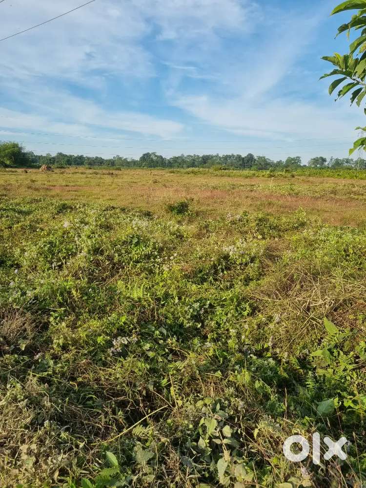 Teok Boloma plot