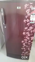 Fridge and inverter