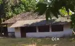 Individual house for rent