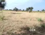 Fir sale agriculture land in rajasthan nagaur