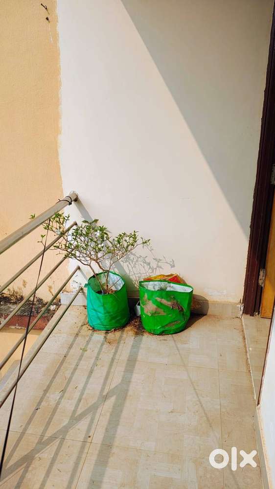 2BHK Apartment on Rent. 300 mtrs from NH 5. 500 mtrs from Rasulgarh Sq