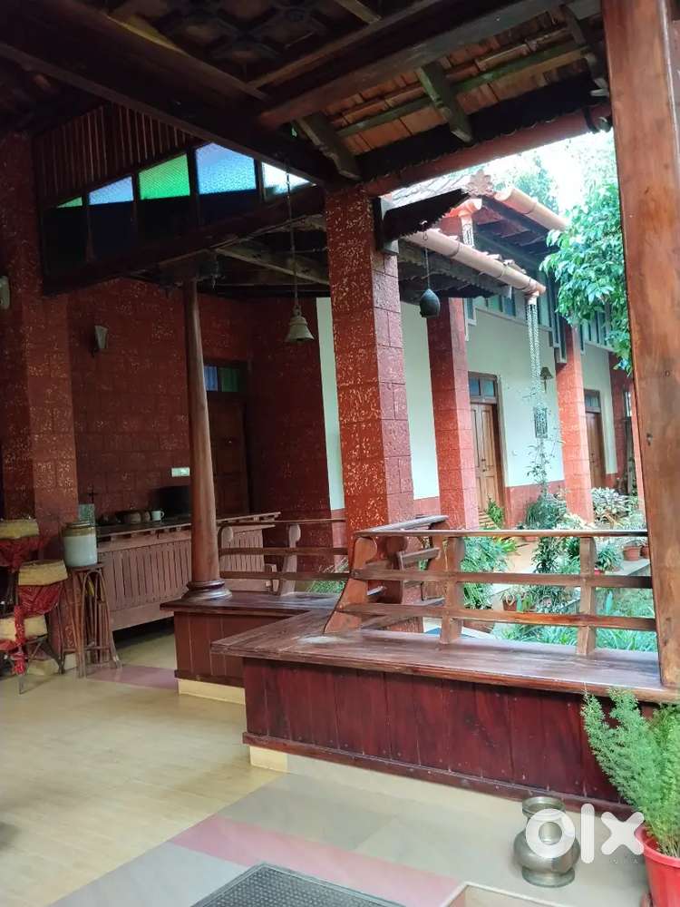 Ayurveda Female Therapist