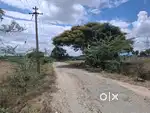 Othakkalmandapam Land sales