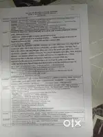 job for everyone Bathinda