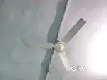 Ceiling fan