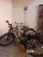 Leader beast cycle
