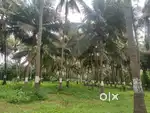 3.5 Acre Farm Land For Sale