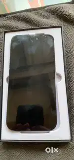 14 pro display