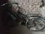 Hercules men cycle