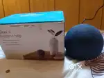 Alexa 5th gen