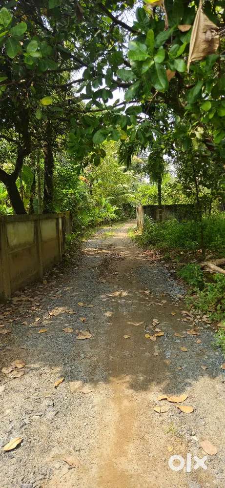 11.300 Cent Plot for sale @Inchamudi