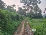 Keezhilam mc road 350 meter 15 cent houseplot 2lak per cent nys area
