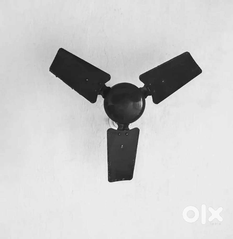 Ceiling Fan