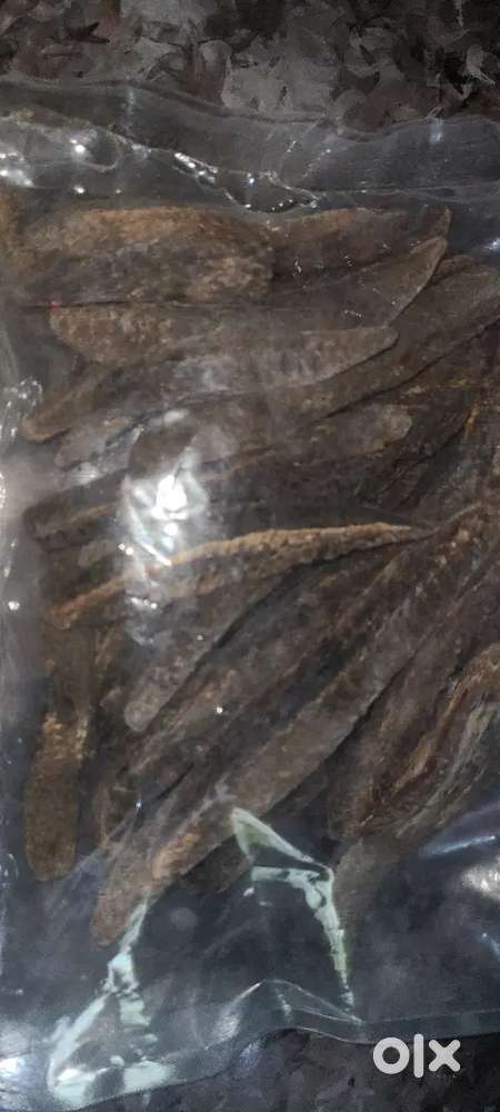 Sea dry fish