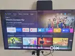 Mi 4A 49 inch