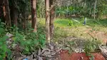 Karaparamba 12 Cent House Plot