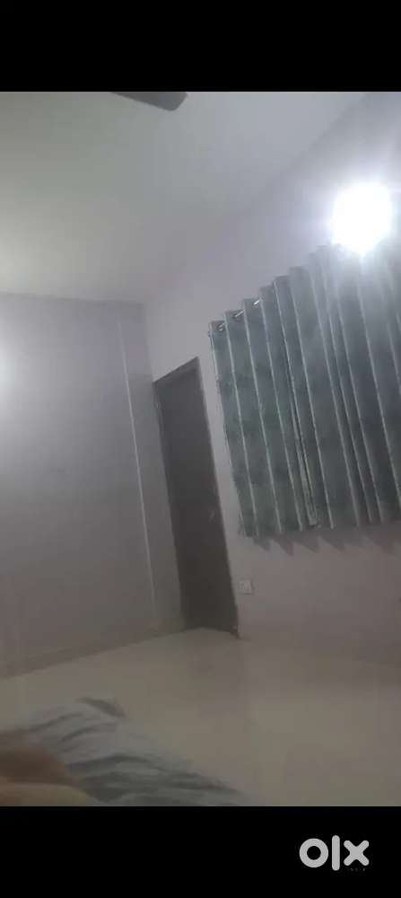 Need a girls roommate working or student