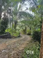 2 Acres of Scenic agricultural land perfect for tourism and farming