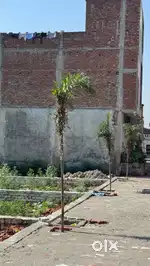80Gaj Plot For Sale Near 33Futta Road