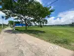 I want sell my land at sonapur