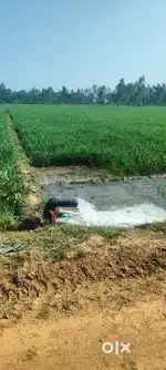 Agriculture Land