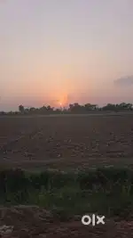 10 bigha field  (khet)under  new agra