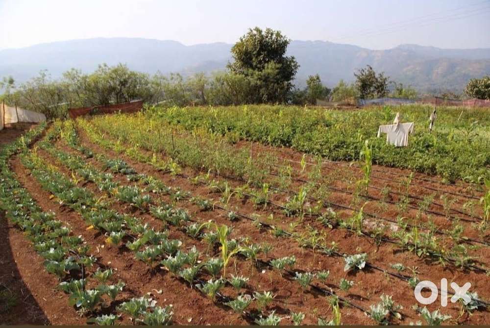 1100 Acre plot Agro