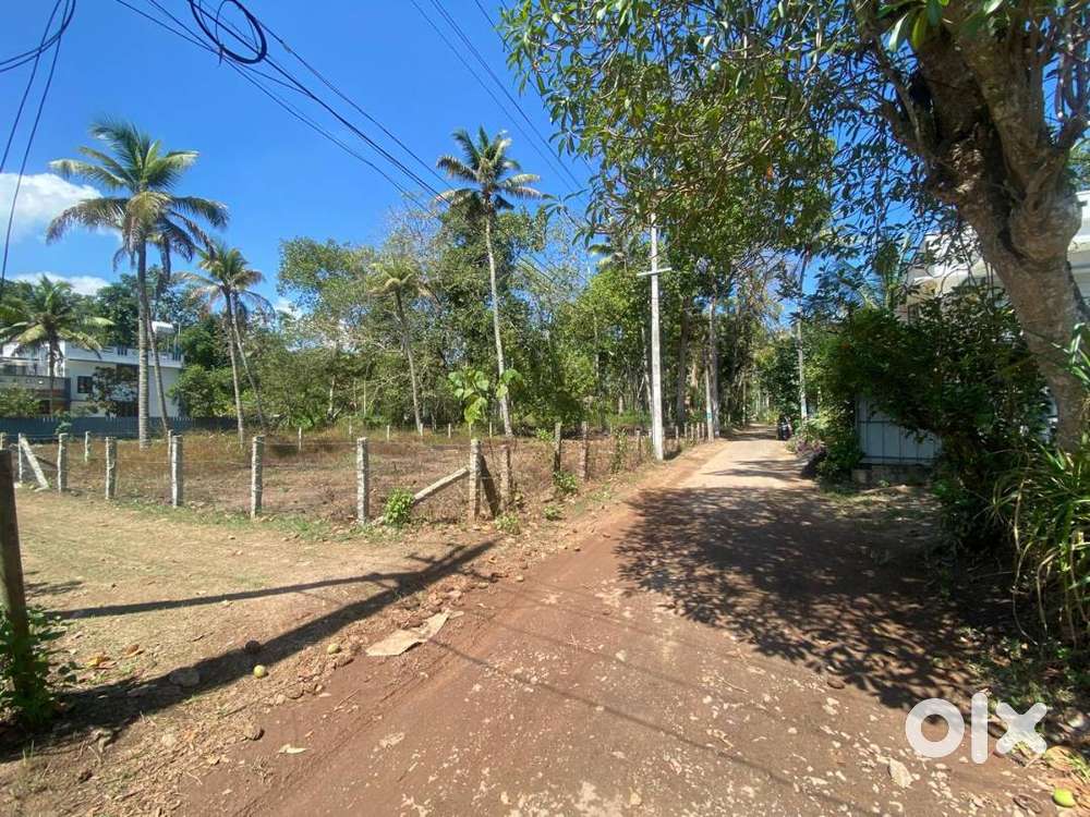 PLOT FOR SALE IN CHETTIKULANGARA KAYAMKULAM