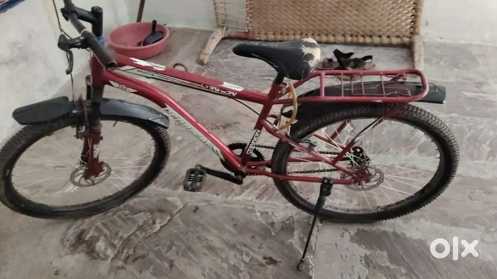 1 year old cycle