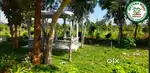 Farmland with Good Returns 6534sqft managed