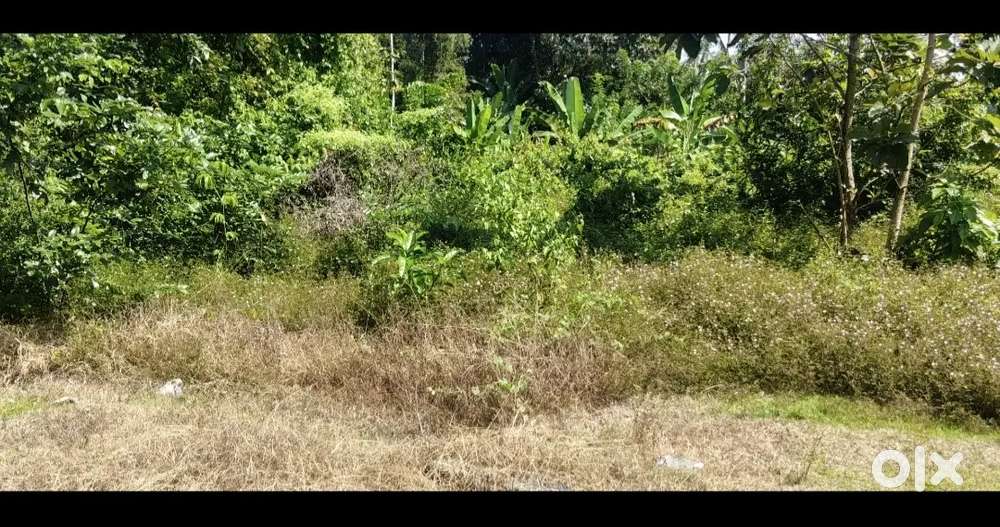 14 cent Land for sale near Muringur Divine, Chalakudy