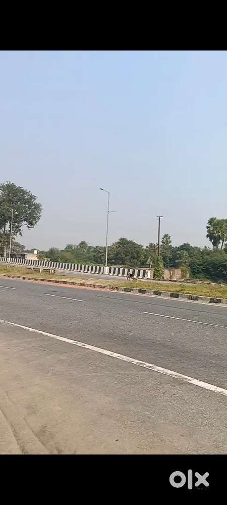Kanhauli market golambr on the highway plots