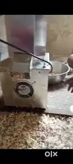 Garlic peling machine