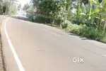 Land main road side 20 cents Kumaranalloor-Kudamaloor road 6.25 L/c