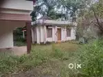 16.5 Cent house plot in Medical College, Kottayam