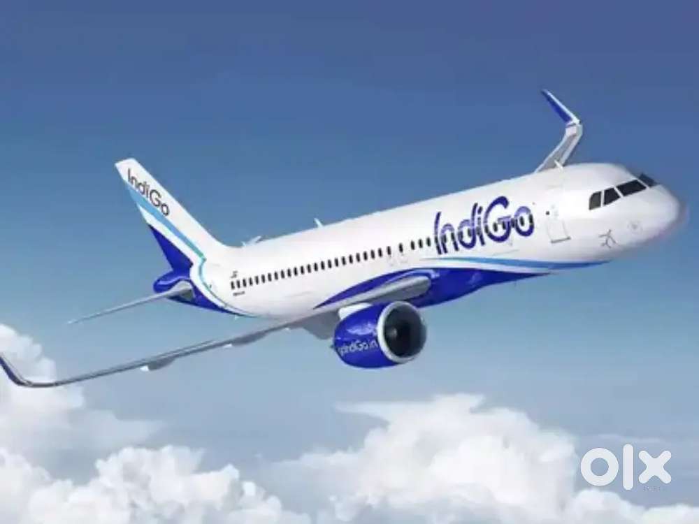 Male/Female candidates hiring for Airport ground staff job in Indigo