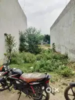 Argent bechna ek plot Hai 20×50ka