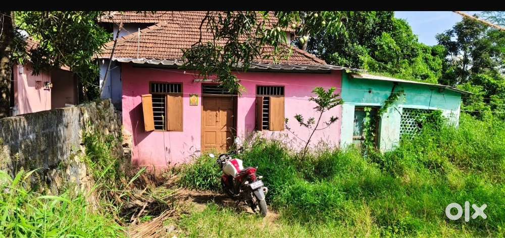 12 cent plot for sale