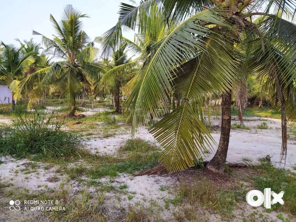 Land for sale
