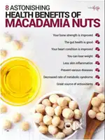 11 Cents Farm Land @ ₹27.5L with Macadamia Plantation in Machilipatnam