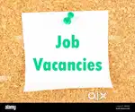 45 CANDIDATE APPLY