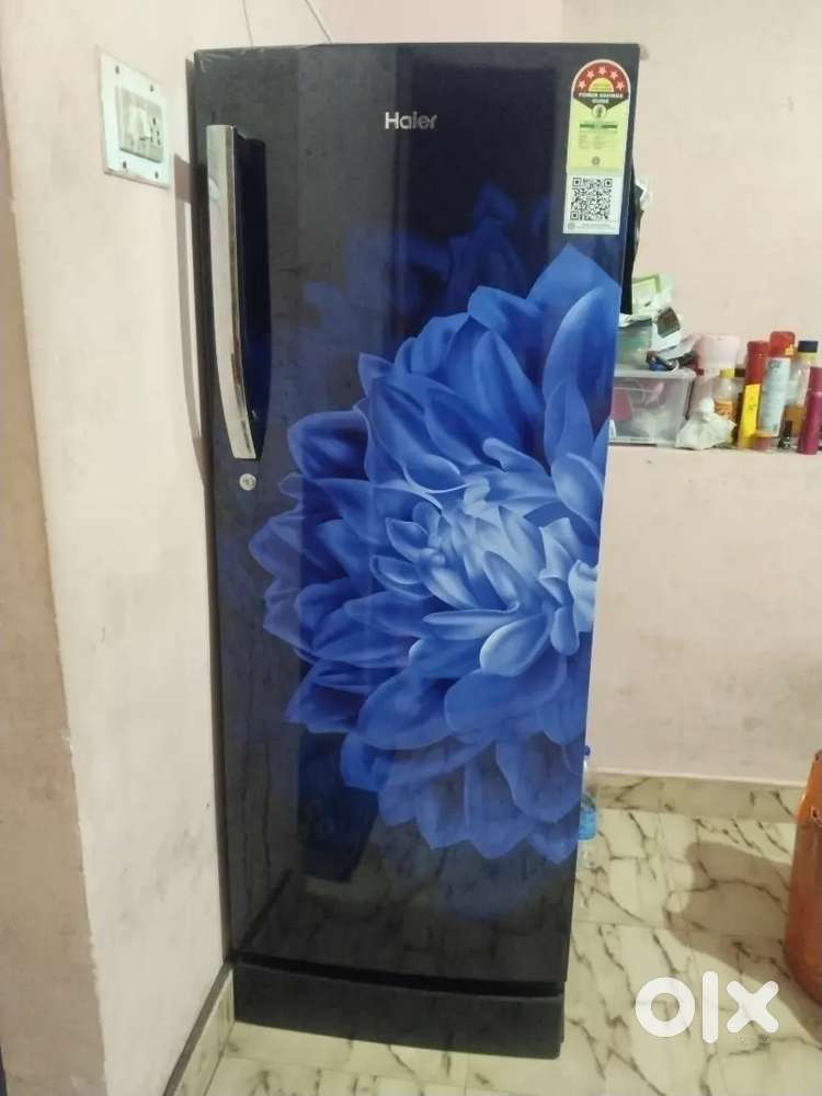 Haier single door fridge with  5 Star rating