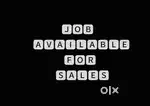Sales man for E Rickshaw