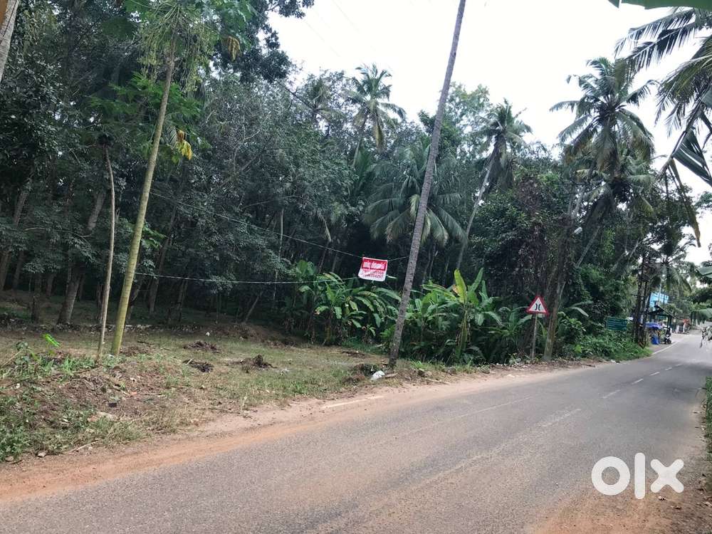Plot for Sale on Main Road near Malayinkeezhu junction